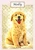 Golden Retriever Puppy - Personalised Example