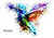 Watercolour Hummingbird - Personalised