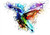 Watercolour Hummingbird - Blank