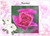 Pink Rose - Personalised