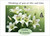 White Lilies & Butterflies - Personalised Example