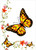 Orange Butterfly - Personalised Example