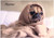 Pug in a Blanket - Personalised