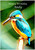 Painted Kingfisher Morning - Personalised Example