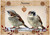 Garden Sparrows - Personalised