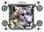 Snow Leopard Portrait - Personalised