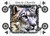 Snow Leopard Portrait - Personalised Example