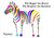 Storm Rainbow Zebra - Personalised