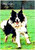 Border Collie Oil Painting - Personalised Example