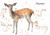 Christmas Fawn - Personalised