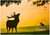 Stag at Sunrise - Personalised Example