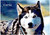 Husky in Frost Valley - Personalised Example