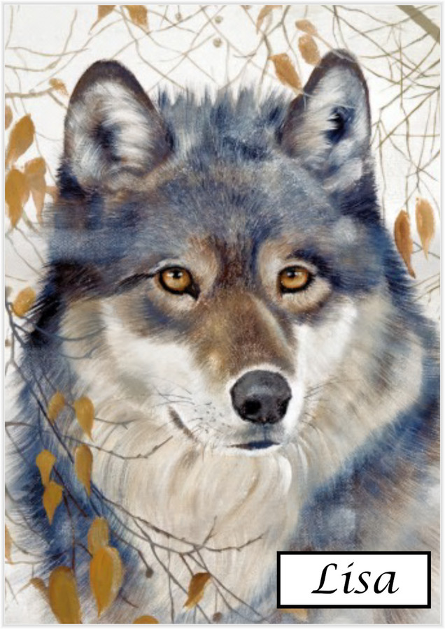 Timber Wolf Portrait