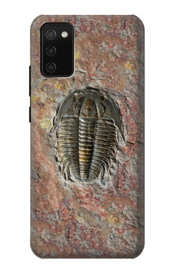 S1454 三葉虫の化石 Trilobite Fossil Samsung Galaxy A02s, Galaxy M02s バックケース、フリップケース・カバー