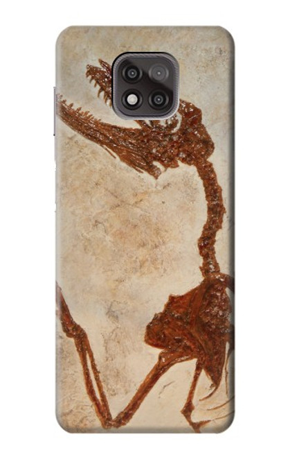 S0379 恐竜化石 Dinosaur Fossil Motorola Moto G Power (2021) バックケース、フリップケース・カバー
