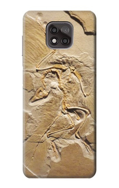 S0380 恐竜化石 Dinosaur Fossil Motorola Moto G Power (2021) バックケース、フリップケース・カバー