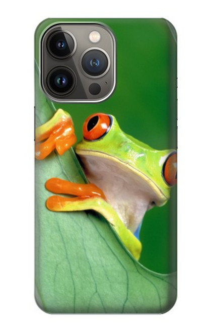 S1047 小さなカエル Little Frog iPhone 13 Pro バックケース、フリップケース・カバー