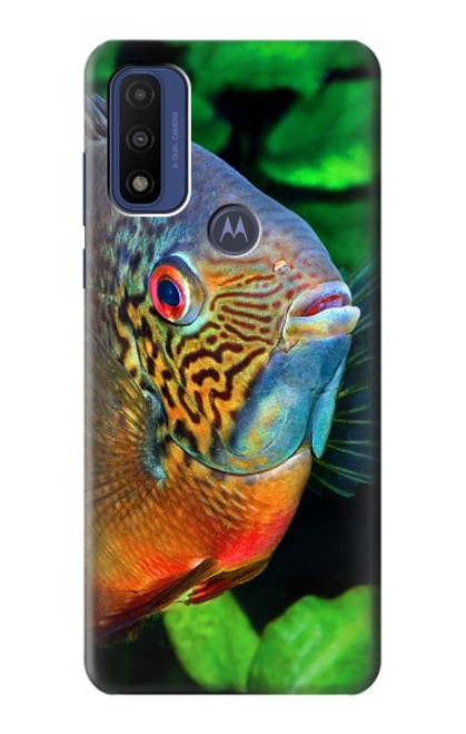 S1812 シクリッド魚 Cichlid Fish Motorola G Pure バックケース、フリップケース・カバー