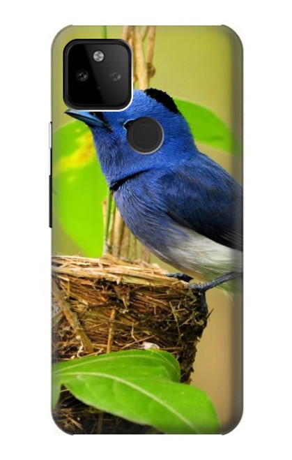 S3839 幸福の青い 鳥青い鳥 Bluebird of Happiness Blue Bird Google Pixel 5A 5G バックケース、フリップケース・カバー