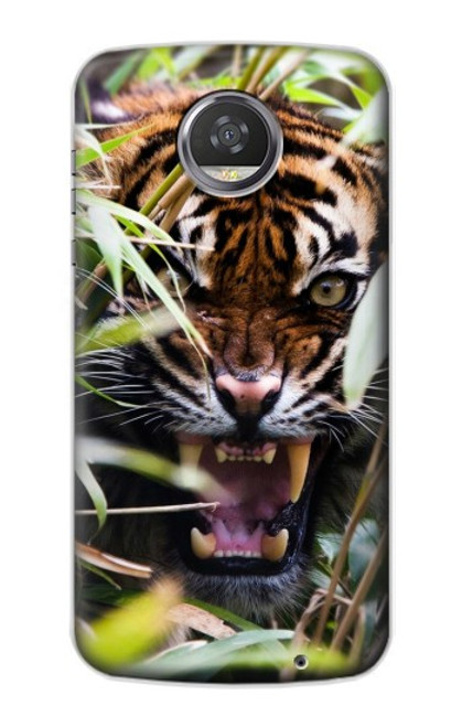 S3838 ベンガルトラの吠え Barking Bengal Tiger Motorola Moto Z2 Play, Z2 Force バックケース、フリップケース・カバー