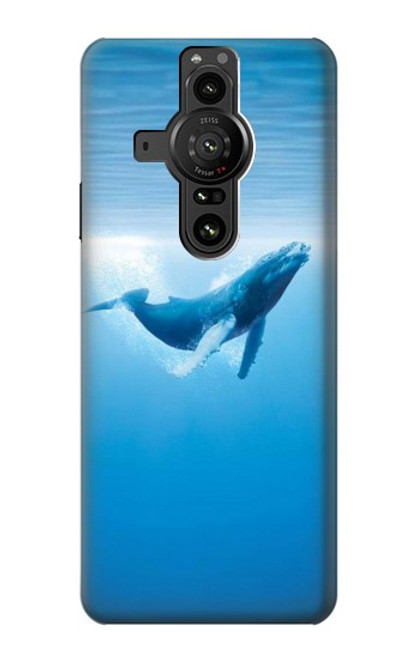 S0843 シロナガスクジラ Blue Whale Sony Xperia Pro-I バックケース、フリップケース・カバー