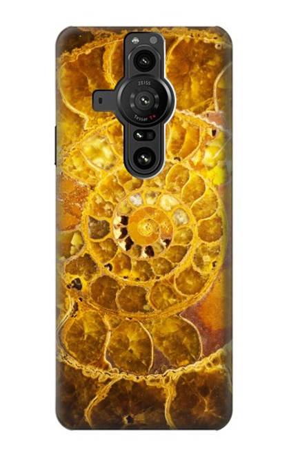 S1789 アンモナイト化石 Ammonite Fossils Sony Xperia Pro-I バックケース、フリップケース・カバー