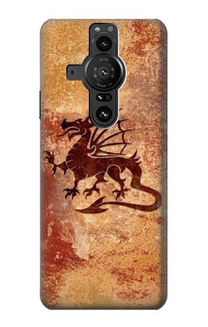 S2485 ドラゴンメタルグラフィックプリント Dragon Metal Texture Graphic Printed Sony Xperia Pro-I バックケース、フリップケース・カバー