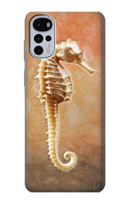 S2674 タツノオトシゴスケルトン化石 Seahorse Skeleton Fossil Motorola Moto G22 バックケース、フリップケース・カバー