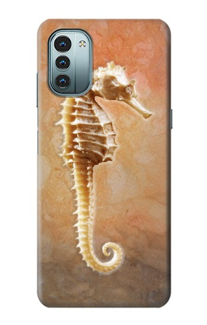 S2674 タツノオトシゴスケルトン化石 Seahorse Skeleton Fossil Nokia G11, G21 バックケース、フリップケース・カバー