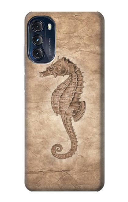 S3214 タツノオトシゴスケルトン化石 Seahorse Skeleton Fossil Motorola Moto G (2022) バックケース、フリップケース・カバー