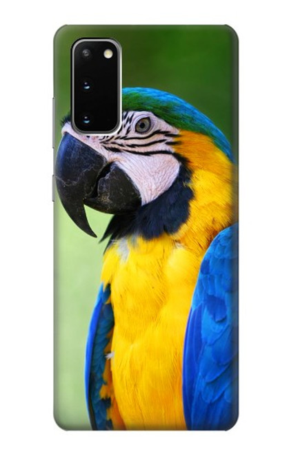 S3888 コンゴウインコの顔の鳥 Macaw Face Bird Samsung Galaxy S20 バックケース、フリップケース・カバー