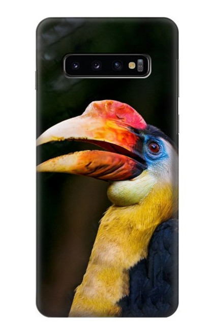 S3876 カラフルなサイチョウ Colorful Hornbill Samsung Galaxy S10 バックケース、フリップケース・カバー