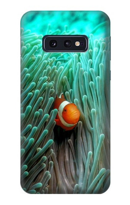 S3893 カクレクマノミ Ocellaris clownfish Samsung Galaxy S10e バックケース、フリップケース・カバー