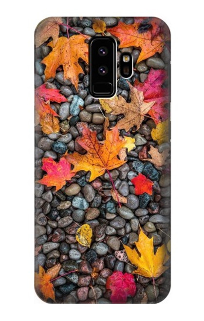 S3889 メープル リーフ Maple Leaf Samsung Galaxy S9 バックケース、フリップケース・カバー