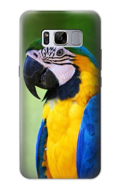 S3888 コンゴウインコの顔の鳥 Macaw Face Bird Samsung Galaxy S8 バックケース、フリップケース・カバー