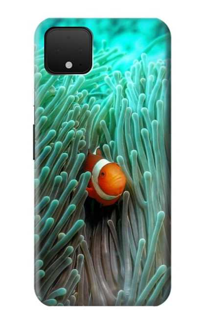 S3893 カクレクマノミ Ocellaris clownfish Google Pixel 4 バックケース、フリップケース・カバー