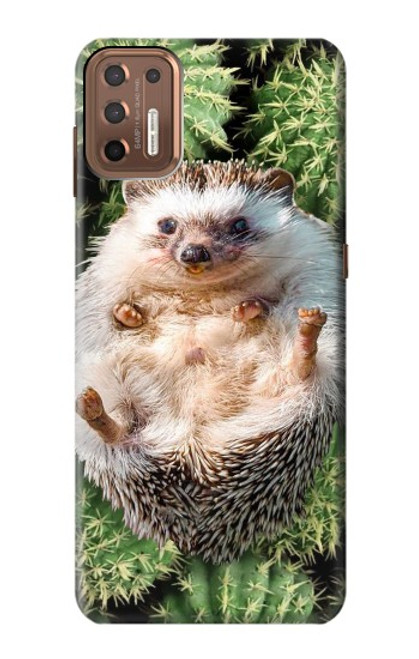 S3863 ピグミー ハリネズミ ドワーフ ハリネズミ ペイント Pygmy Hedgehog Dwarf Hedgehog Paint Motorola Moto G9 Plus バックケース、フリップケース・カバー