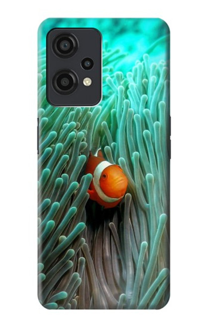 S3893 カクレクマノミ Ocellaris clownfish OnePlus Nord CE 2 Lite 5G バックケース、フリップケース・カバー