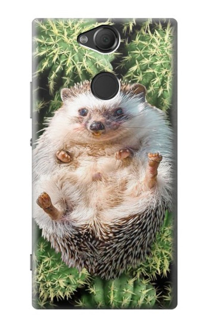 S3863 ピグミー ハリネズミ ドワーフ ハリネズミ ペイント Pygmy Hedgehog Dwarf Hedgehog Paint Sony Xperia XA2 バックケース、フリップケース・カバー