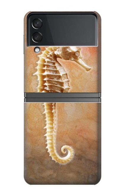 S2674 タツノオトシゴスケルトン化石 Seahorse Skeleton Fossil Samsung Galaxy Z Flip 4 バックケース、フリップケース・カバー
