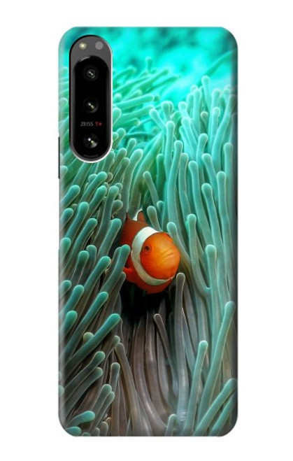 S3893 カクレクマノミ Ocellaris clownfish Sony Xperia 5 IV バックケース、フリップケース・カバー