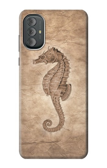 S3214 タツノオトシゴスケルトン化石 Seahorse Skeleton Fossil Motorola Moto G Power 2022, G Play 2023 バックケース、フリップケース・カバー