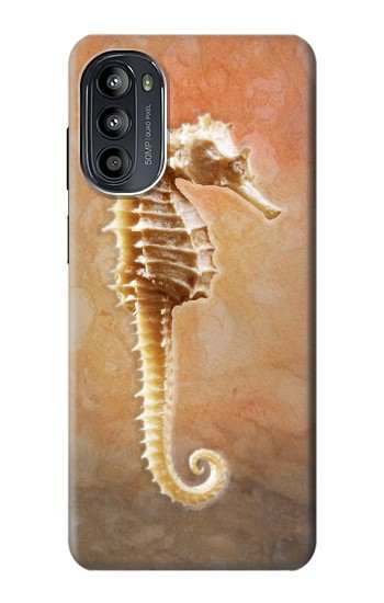 S2674 タツノオトシゴスケルトン化石 Seahorse Skeleton Fossil Motorola Moto G52, G82 5G バックケース、フリップケース・カバー