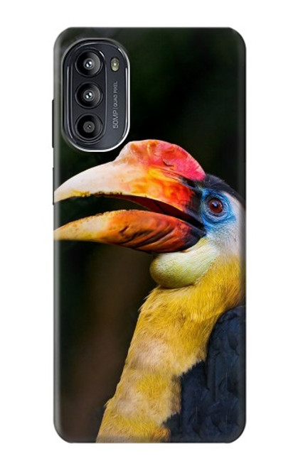 S3876 カラフルなサイチョウ Colorful Hornbill Motorola Moto G52, G82 5G バックケース、フリップケース・カバー