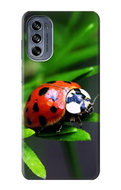 S0263 天道虫 Ladybug Motorola Moto G62 5G バックケース、フリップケース・カバー