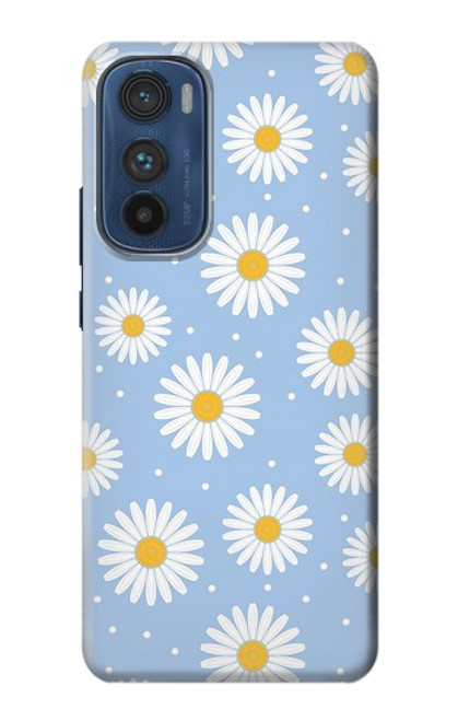 S3681 デイジーの花のパターン Daisy Flowers Pattern Motorola Edge 30 バックケース、フリップケース・カバー