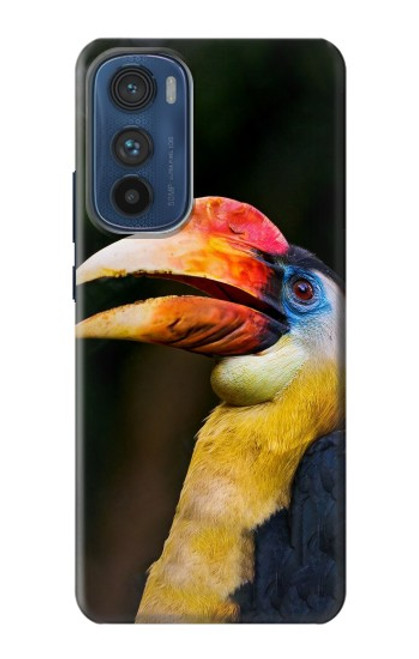 S3876 カラフルなサイチョウ Colorful Hornbill Motorola Edge 30 バックケース、フリップケース・カバー