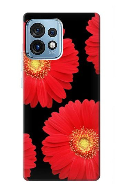 S2478 赤デイジーの花 Red Daisy flower Motorola Edge+ (2023), X40, X40 Pro, Edge 40 Pro バックケース、フリップケース・カバー