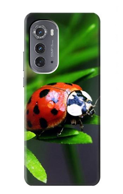 S0263 天道虫 Ladybug Motorola Edge (2022) バックケース、フリップケース・カバー