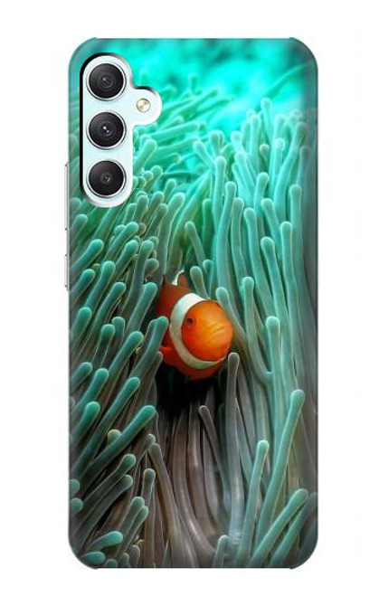 S3893 カクレクマノミ Ocellaris clownfish Samsung Galaxy A34 5G バックケース、フリップケース・カバー